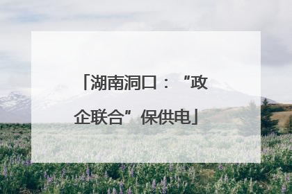 湖南洞口：“政企联合”保供电