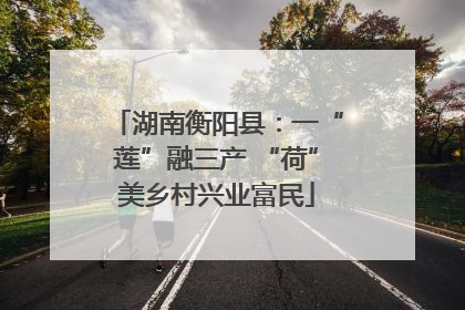 湖南衡阳县：一“莲”融三产 “荷”美乡村兴业富民