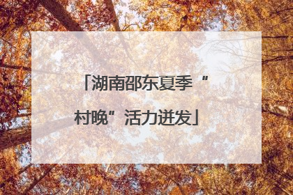 湖南邵东夏季“村晚”活力迸发