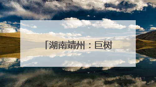 湖南靖州：巨树轰然倒塌前紧急管制成功避险
