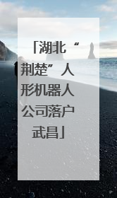 湖北“荆楚”人形机器人公司落户武昌