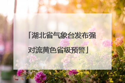 湖北省气象台发布强对流黄色省级预警