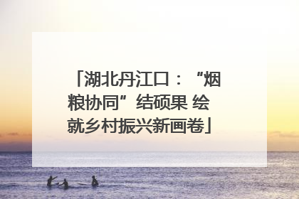 湖北丹江口：“烟粮协同”结硕果 绘就乡村振兴新画卷