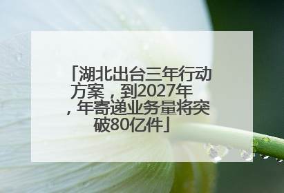 湖北出台三年行动方案，到2027年，年寄递业务量将突破80亿件