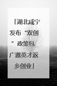 湖北咸宁发布“双创”政策包 广邀英才返乡创业