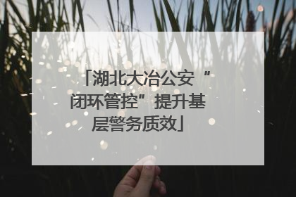 湖北大冶公安“闭环管控”提升基层警务质效
