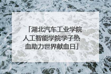 湖北汽车工业学院人工智能学院学子热血助力世界献血日