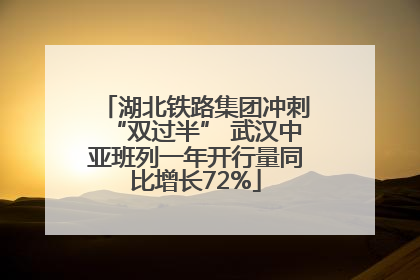 湖北铁路集团冲刺“双过半” 武汉中亚班列一年开行量同比增长72%