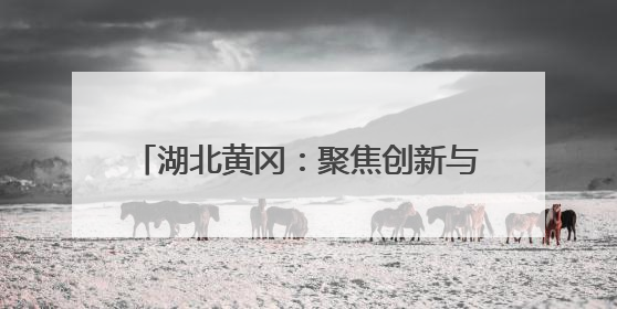 湖北黄冈：聚焦创新与质量 打造三维新模式