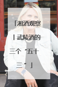 湘酒观察丨武陵酒的三个“五十三 ”