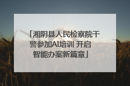 湘阴县人民检察院干警参加AI培训 开启智能办案新篇章