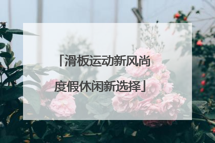 滑板运动新风尚 度假休闲新选择