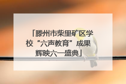 滕州市柴里矿区学校“六声教育”成果辉映六一盛典