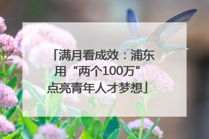 满月看成效：浦东用“两个100万”点亮青年人才梦想