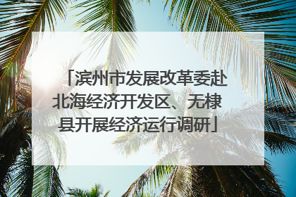 滨州市发展改革委赴北海经济开发区、无棣县开展经济运行调研