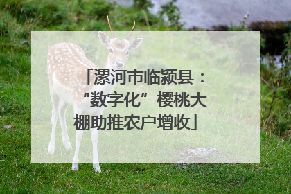 漯河市临颍县：“数字化”樱桃大棚助推农户增收