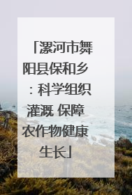 漯河市舞阳县保和乡：科学组织灌溉 保障农作物健康生长