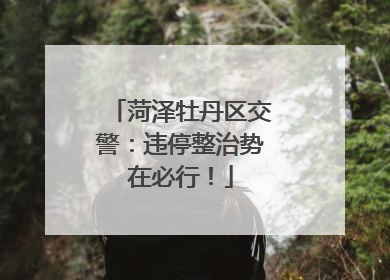 菏泽牡丹区交警：违停整治势在必行！