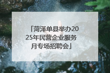 菏泽单县举办2025年民营企业服务月专场招聘会