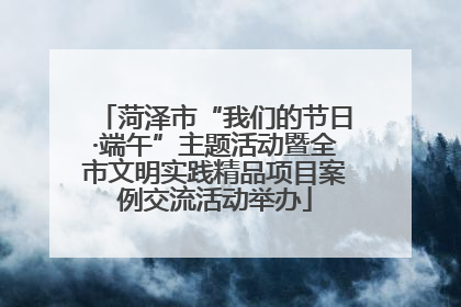 菏泽市“我们的节日·端午”主题活动暨全市文明实践精品项目案例交流活动举办