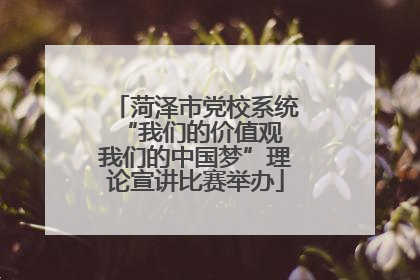 菏泽市党校系统“我们的价值观 我们的中国梦”理论宣讲比赛举办