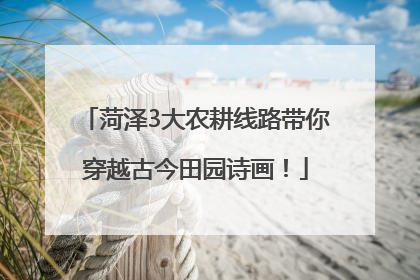 菏泽3大农耕线路带你穿越古今田园诗画！