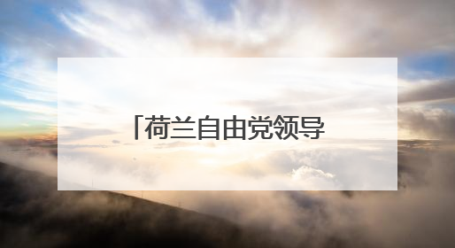 荷兰自由党领导人维尔德斯宣布退出联合政府