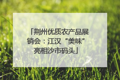 荆州优质农产品展销会：江汉“美味”亮相沙市码头