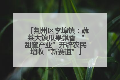 荆州区李埠镇：蔬菜大镇瓜果飘香 “甜蜜产业”开辟农民增收“新赛道”