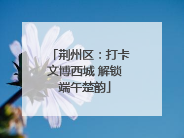 荆州区：打卡文博西城 解锁端午楚韵
