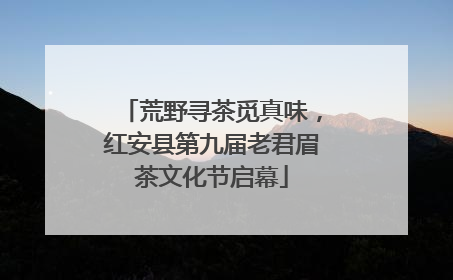 荒野寻茶觅真味，红安县第九届老君眉茶文化节启幕