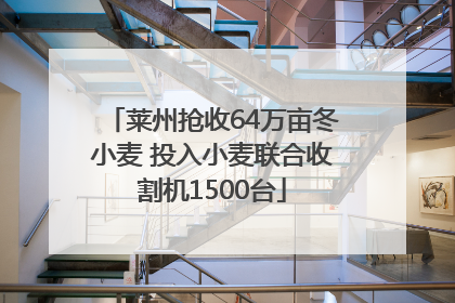 莱州抢收64万亩冬小麦 投入小麦联合收割机1500台