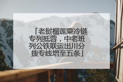 老挝榴莲乘冷链专列抵蓉，中老班列公铁联运出川分拨专线增至五条