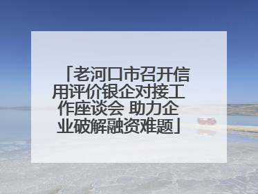老河口市召开信用评价银企对接工作座谈会 助力企业破解融资难题