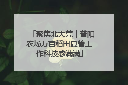 聚焦北大荒｜普阳农场万亩稻田夏管工作科技感满满