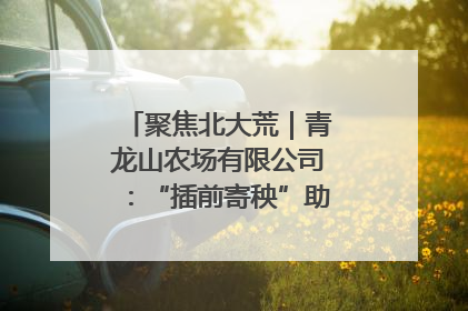 聚焦北大荒｜青龙山农场有限公司：“插前寄秧”助力农业节本增效