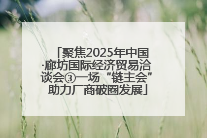 聚焦2025年中国·廊坊国际经济贸易洽谈会③一场“链主会” 助力厂商破圈发展
