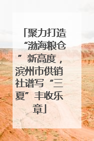 聚力打造“渤海粮仓”新高度，滨州市供销社谱写“三夏”丰收乐章