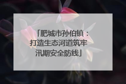 肥城市孙伯镇：打造生态河道筑牢汛期安全防线