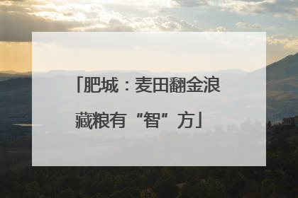 肥城：麦田翻金浪藏粮有“智”方
