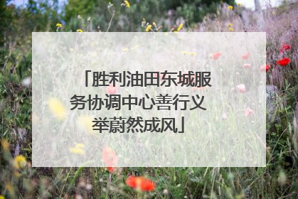 胜利油田东城服务协调中心善行义举蔚然成风