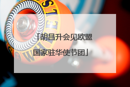胡昌升会见欧盟国家驻华使节团