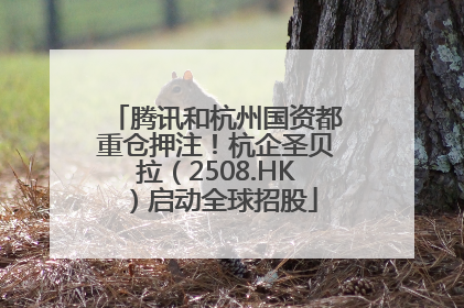 腾讯和杭州国资都重仓押注！杭企圣贝拉（2508.HK）启动全球招股