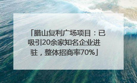 腊山复利广场项目：已吸引20余家知名企业进驻，整体招商率70%