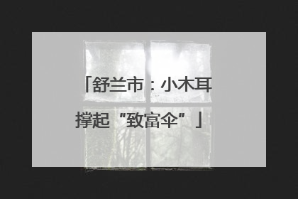 舒兰市：小木耳撑起“致富伞”