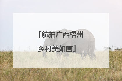 航拍广西梧州乡村美如画