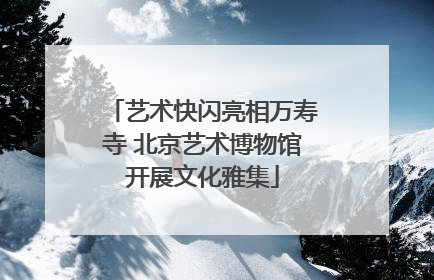 艺术快闪亮相万寿寺 北京艺术博物馆开展文化雅集