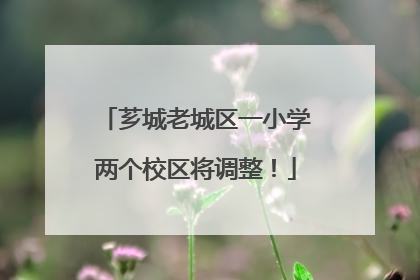 芗城老城区一小学两个校区将调整！