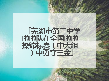 芜湖市第二中学啦啦队在全国啦啦操锦标赛（中大组）中勇夺三金