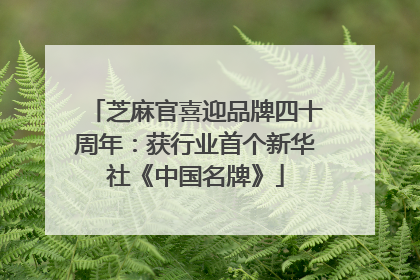 芝麻官喜迎品牌四十周年：获行业首个新华社《中国名牌》
